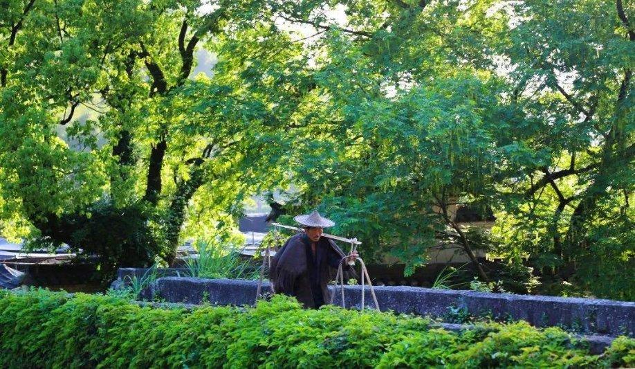 鸡大概闷死三四个小时能吃吗?_专业问答网站